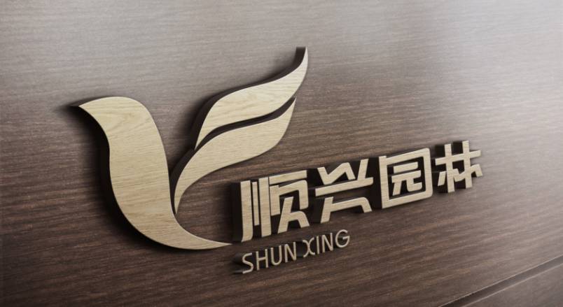 七星关区VI设计公司：城市视觉形象的专业筑梦者